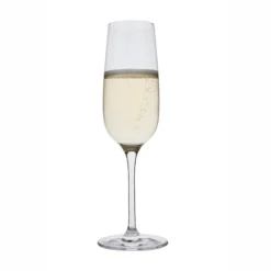 Drink! Champagne Flute, Set Of 6 -The Clinksy Sales Store drink flute