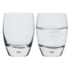 Eleanor Tumbler, Set Of 2