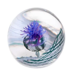 Scottish - Highland Reel